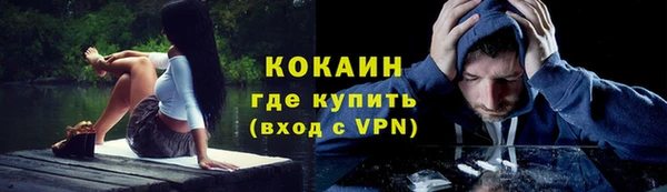 сатива Гусь-Хрустальный
