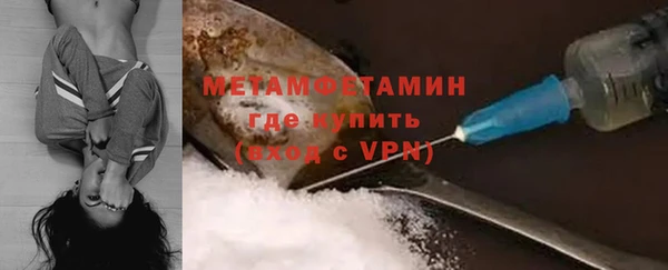 сатива Гусь-Хрустальный