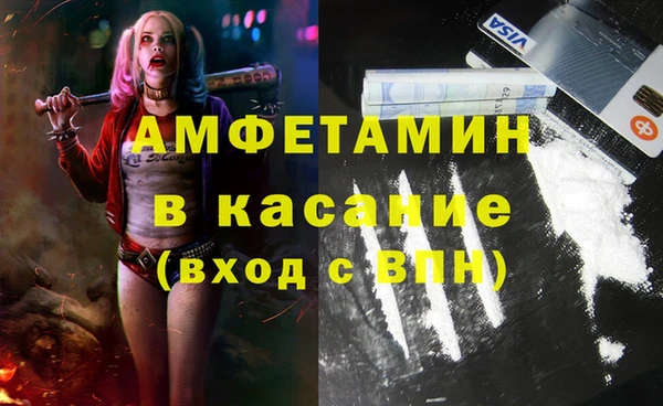сатива Гусь-Хрустальный