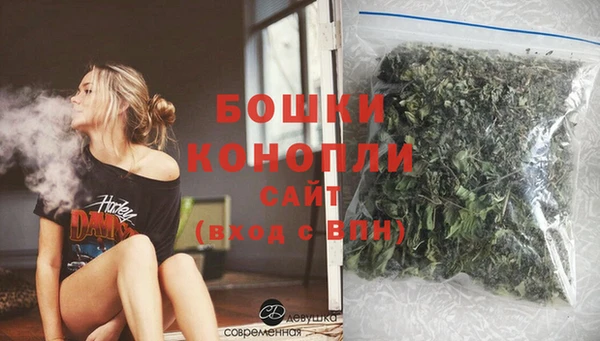 таблы Гусев
