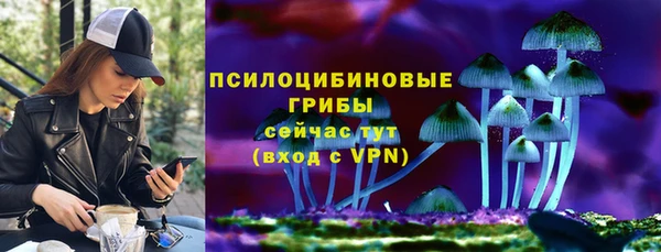 таблы Гусев