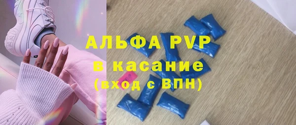 сатива Гусь-Хрустальный