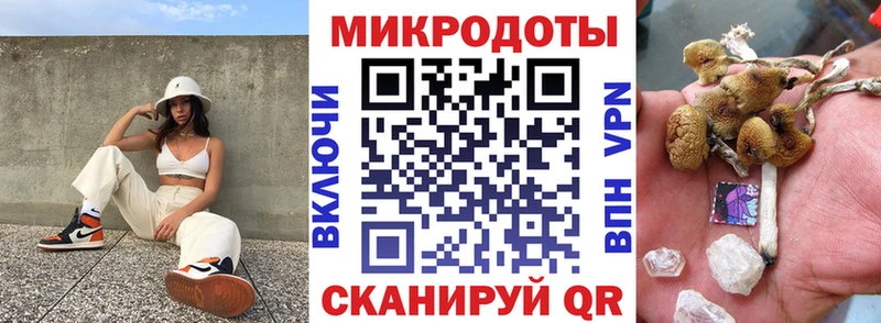 Псилоцибиновые грибы MAGIC MUSHROOMS  Купить закладки  Усть-Катав 